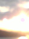 Photo_7